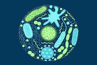رد کولد و اثرات ضد میکروبی